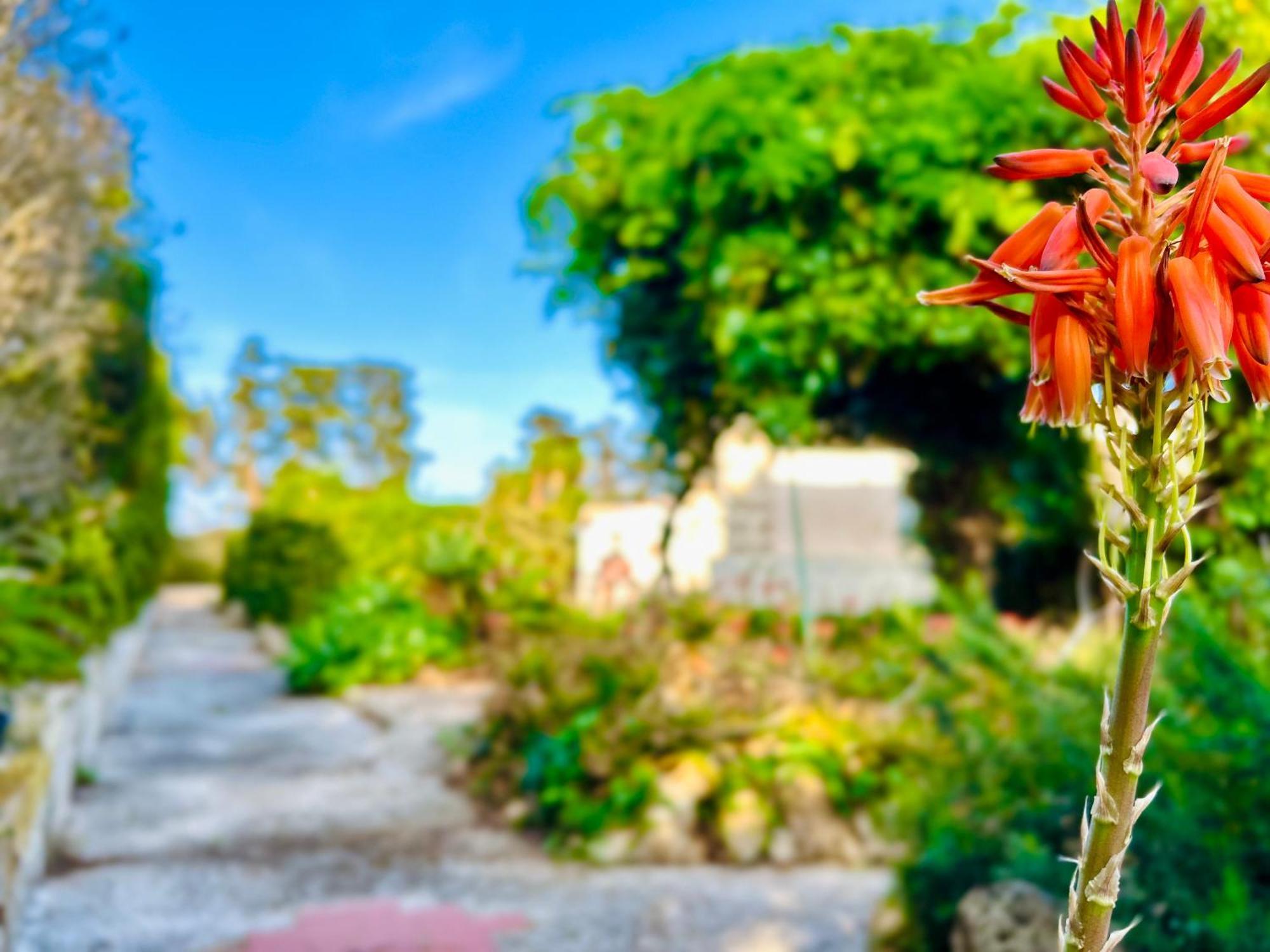 Villa Primavera ファヴィニャーナ エクステリア 写真